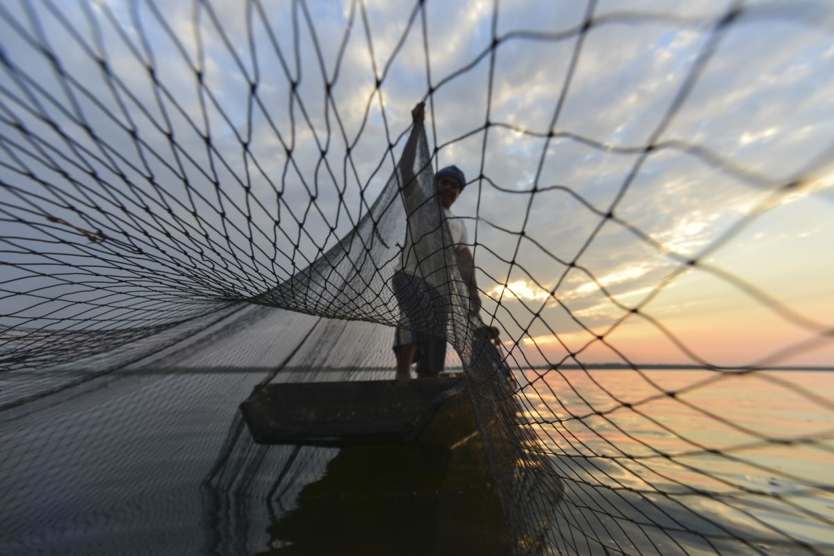 A fisherman casts a net into a lake