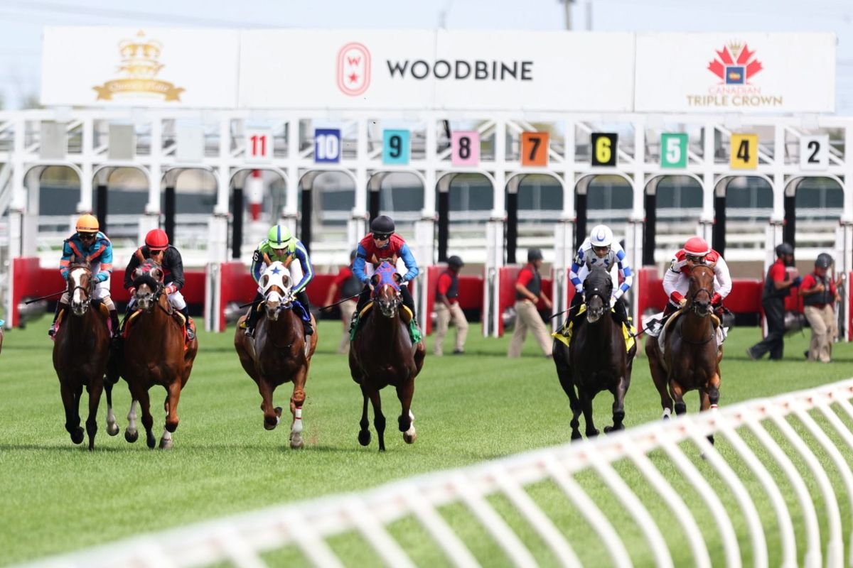 Horses running a race at a Woodbine racetrack in the Toronto area