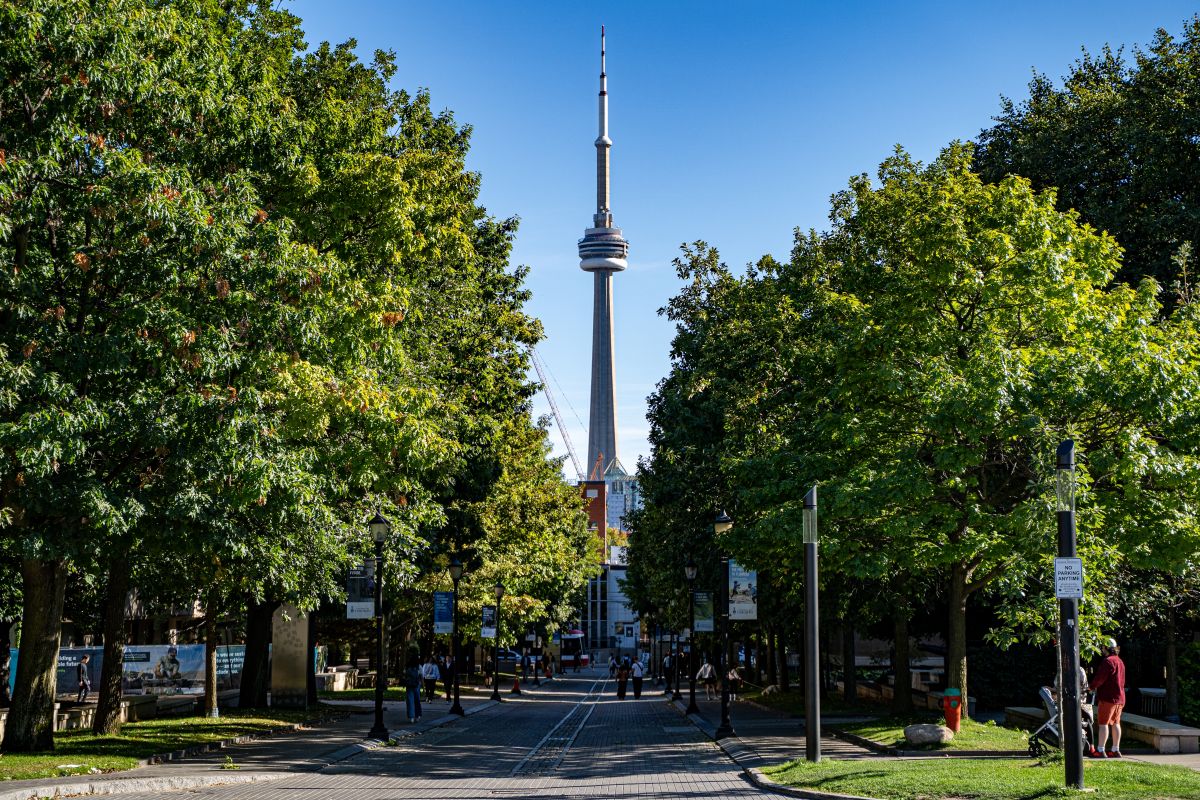 A view of Toronto's CN Tower through the trees