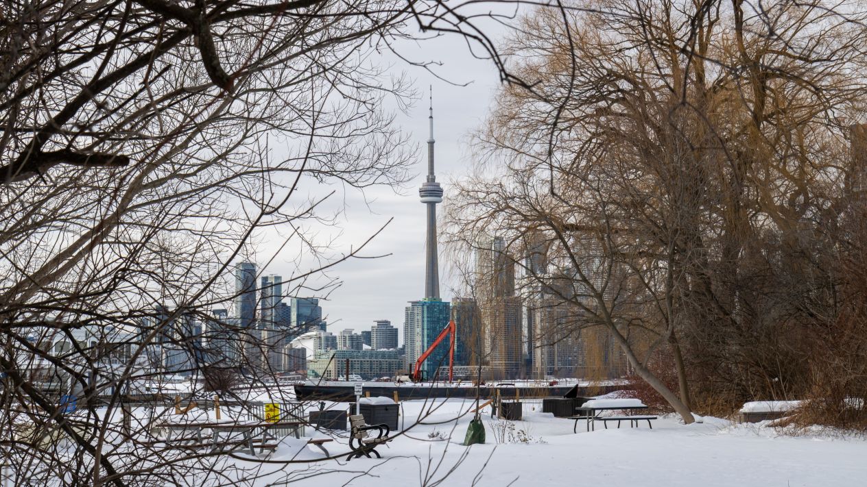 Toronto's CN Tower seen through trees in the snow